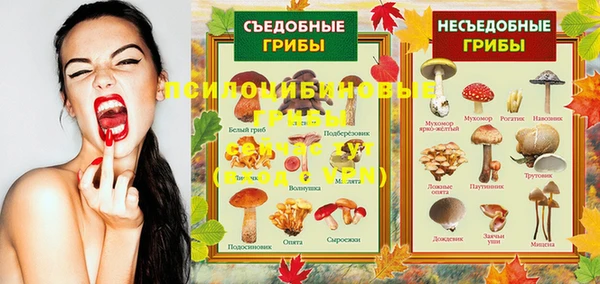 MESCALINE Баксан