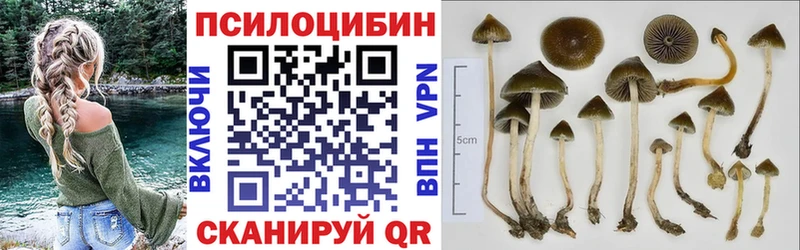 Псилоцибиновые грибы Magic Shrooms  Гремячинск 